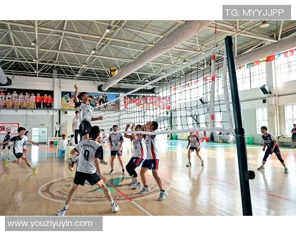 成都排球队在全国锦标赛中的实力展现与未来发展潜力分析