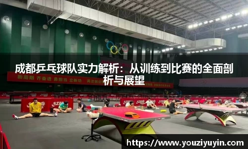成都乒乓球队实力解析：从训练到比赛的全面剖析与展望